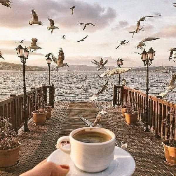 Contact page image of waiting with a cup of coffee and sitting by the sea